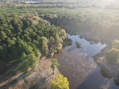 Texas Timberland Property & Hunting Land For Sale - image 13