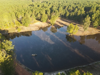 Texas Timberland Property & Hunting Land For Sale - image 1