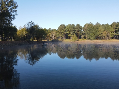 Texas Timberland Property & Hunting Land For Sale - image 28