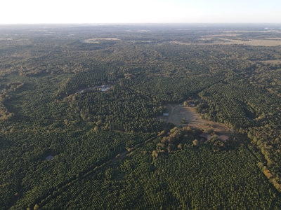 Texas Timberland Property & Hunting Land For Sale - image 25