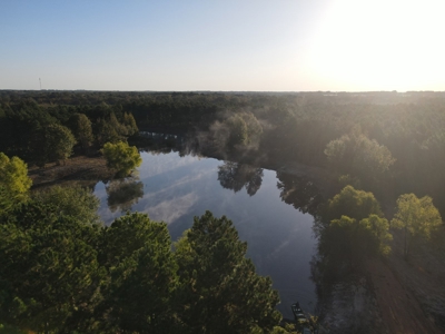 Texas Timberland Property & Hunting Land For Sale - image 15
