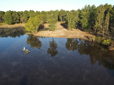 Texas Timberland Property & Hunting Land For Sale - image 12