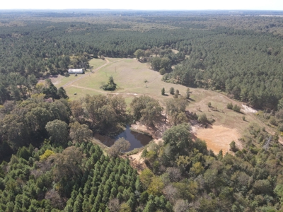 Texas Timberland Property & Hunting Land For Sale - image 6