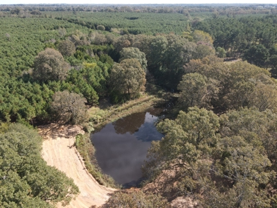 Texas Timberland Property & Hunting Land For Sale - image 31