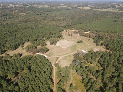 Texas Timberland Property & Hunting Land For Sale - image 4