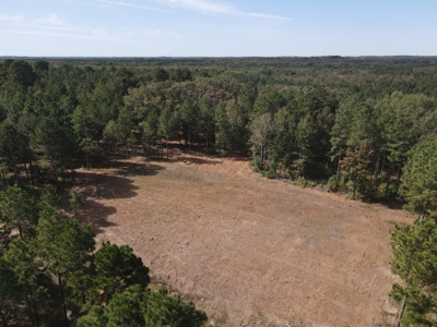 Texas Timberland Property & Hunting Land For Sale - image 22