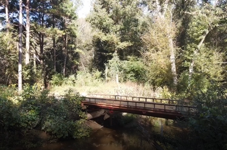 Texas Timberland Property & Hunting Land For Sale - image 17