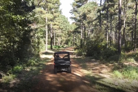 Texas Timberland Property & Hunting Land For Sale - image 9