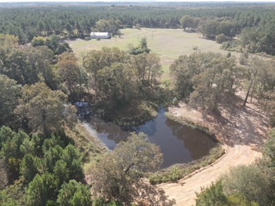 Texas Timberland Property & Hunting Land For Sale - image 5