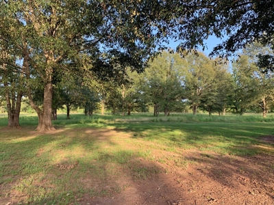 3040 Acre Turnkey Hunting Property Sleeps 22, West AL - image 32