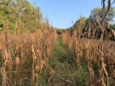 3040 Acre Turnkey Hunting Property Sleeps 22, West AL - image 34
