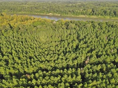 3040 Acre Turnkey Hunting Property Sleeps 22, West AL - image 25