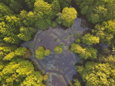 3040 Acre Turnkey Hunting Property Sleeps 22, West AL - image 22