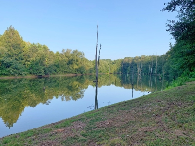 3040 Acre Turnkey Hunting Property Sleeps 22, West AL - image 36