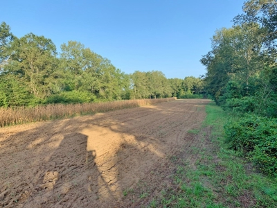 3040 Acre Turnkey Hunting Property Sleeps 22, West AL - image 33