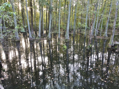 3040 Acre Turnkey Hunting Property Sleeps 22, West AL - image 21
