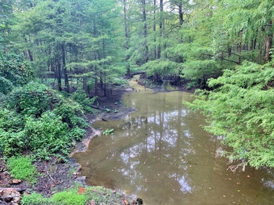 3040 Acre Turnkey Hunting Property Sleeps 22, West AL - image 30