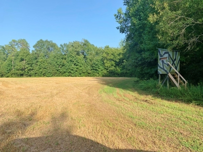 3040 Acre Turnkey Hunting Property Sleeps 22, West AL - image 29