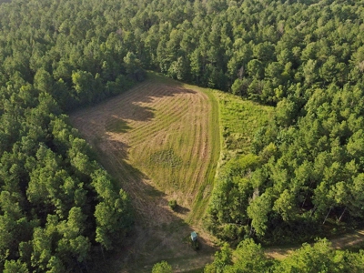 3040 Acre Turnkey Hunting Property Sleeps 22, West AL - image 28
