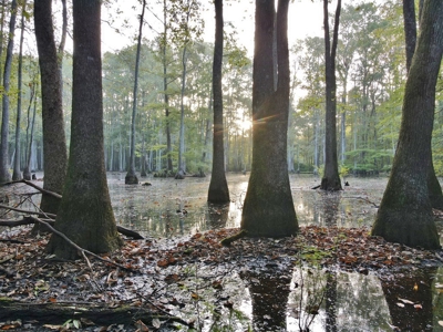 3040 Acre Turnkey Hunting Property Sleeps 22, West AL - image 19