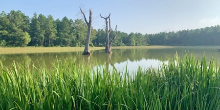 3040 Acre Turnkey Hunting Property Sleeps 22, West AL - image 38