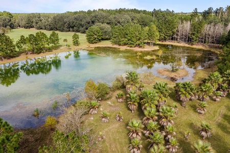 Florida Farm Land With Home  For Sale - image 4