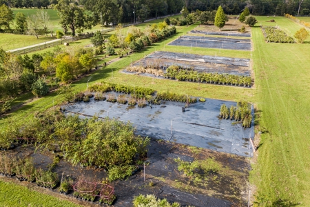 Florida Farm Land With Home  For Sale - image 11