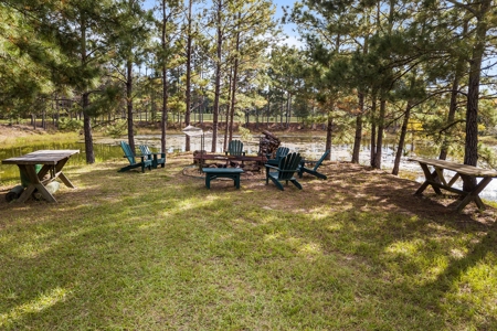 Florida Farm Land With Home  For Sale - image 5
