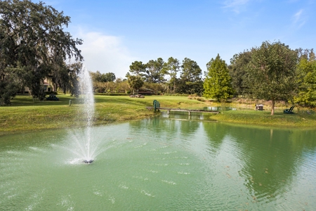 Florida Farm Land With Home  For Sale - image 6