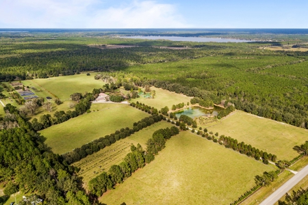 Florida Farm Land With Home  For Sale - image 2