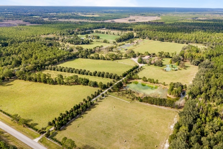 Florida Farm Land With Home  For Sale - image 3