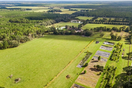 Florida Farm Land With Home  For Sale - image 12