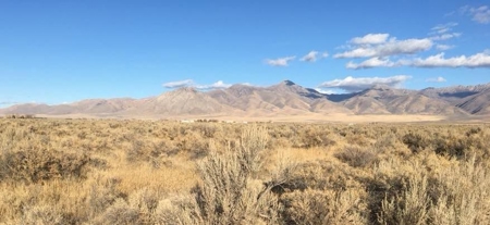 Land for sale in Orovada, Nevada near lithium mine - image 1