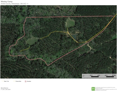 Secluded 39.9 Acres, Off-Grid Camp For Sale in Amite Co, MS - image 19