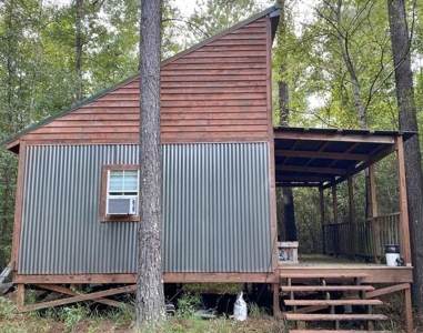 Secluded 39.9 Acres, Off-Grid Camp For Sale in Amite Co, MS - image 9