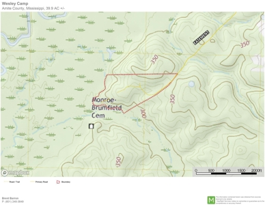 Secluded 39.9 Acres, Off-Grid Camp For Sale in Amite Co, MS - image 21