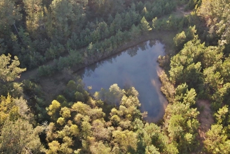 Secluded 39.9 Acres, Off-Grid Camp For Sale in Amite Co, MS - image 13