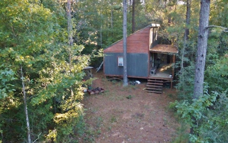 Secluded 39.9 Acres, Off-Grid Camp For Sale in Amite Co, MS - image 16
