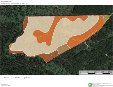 Secluded 39.9 Acres, Off-Grid Camp For Sale in Amite Co, MS - image 23
