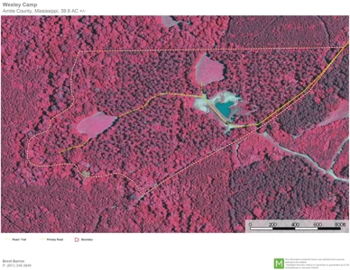 Secluded 39.9 Acres, Off-Grid Camp For Sale in Amite Co, MS - image 22