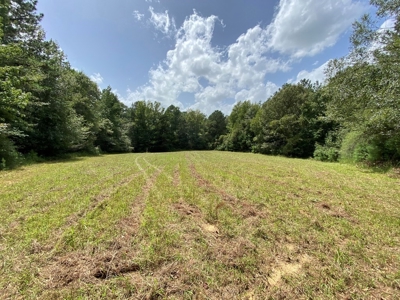 Secluded 39.9 Acres, Off-Grid Camp For Sale in Amite Co, MS - image 1