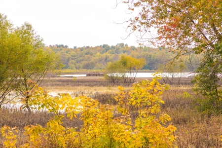 Browning IL Waterfowl Hunting Farm Land For Sale at Auction - image 16