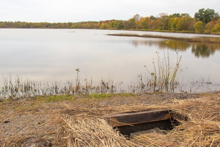 Browning IL Waterfowl Hunting Farm Land For Sale at Auction - image 34