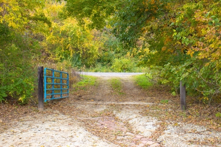 Browning IL Waterfowl Hunting Farm Land For Sale at Auction - image 25