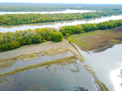 Browning IL Waterfowl Hunting Farm Land For Sale at Auction - image 7
