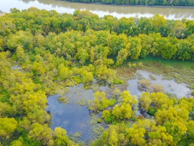 Browning IL Waterfowl Hunting Farm Land For Sale at Auction - image 23