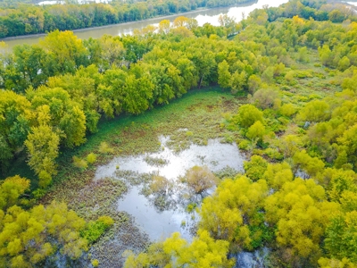 Browning IL Waterfowl Hunting Farm Land For Sale at Auction - image 19