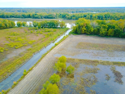 Browning IL Waterfowl Hunting Farm Land For Sale at Auction - image 9