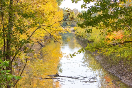 Browning IL Waterfowl Hunting Farm Land For Sale at Auction - image 5