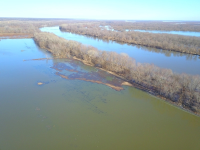 Browning IL Waterfowl Hunting Farm Land For Sale at Auction - image 15